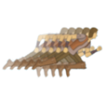 寻宝冒险