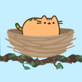 笨拙的猫
