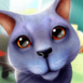 猫咪3D
