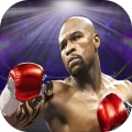 RealBoxingPunchFighting