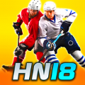 冰球18