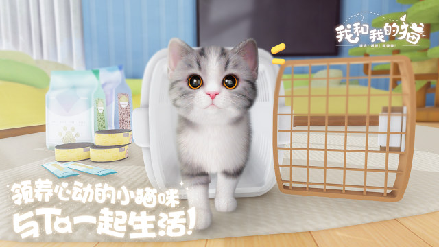 我和我的猫游戏下载2022_1