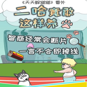 二哈模拟器下载_5