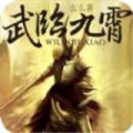 武临九霄