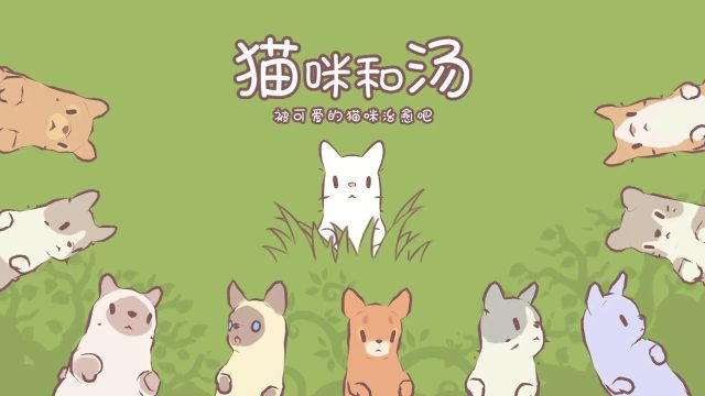 和猫咪玩的游戏_6