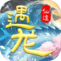 遇龙仙途