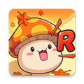 枫之谷R新定义
