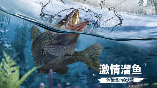 下载小猫钓鱼游戏类游戏推荐2022_2