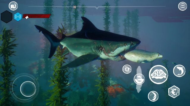 霸王鲨龙游戏机_3