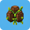 Seed